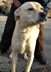 Maggie *LOCAL MEET ME!*