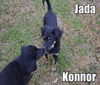 Jada Song *LOCAL*
