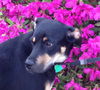 Jackson *LOCAL*