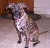 Maggie *LOCAL* MEET ME!