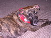 Maggie *LOCAL* MEET ME!