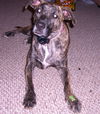 Maggie *LOCAL* MEET ME!