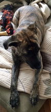 Maggie *LOCAL* MEET ME!