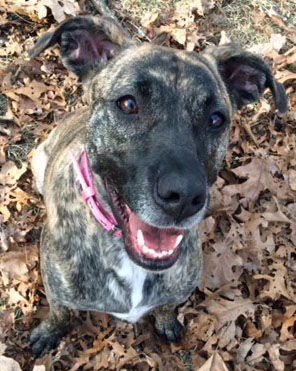 Maggie *LOCAL* MEET ME!