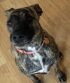 Maggie *LOCAL* MEET ME!