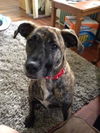 Maggie *LOCAL* MEET ME!