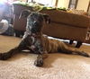 Maggie *LOCAL* MEET ME!