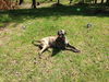 Maggie *LOCAL* MEET ME!