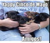 Yolanda Mayo *LOCAL*