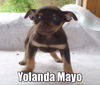 Yolanda Mayo *LOCAL*