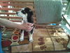 Jake