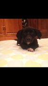 Maggie Lee *MEET ME!*