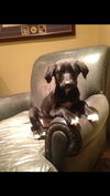 Maggie Lee *MEET ME!*