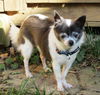 Jasmine *LOCAL*