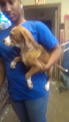 Maggie (prev. Blossom) *LOCAL*
