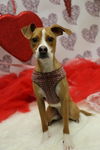 Maggie (prev. Blossom) *LOCAL*