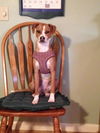 Maggie (prev. Blossom) *LOCAL*