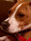 Maggie (prev. Blossom) *LOCAL*