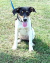 Daisy *LOCAL*