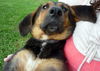 Maya (aka BeeBee) *LOCAL* MEET ME!