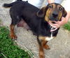 Maya (aka BeeBee) *LOCAL* MEET ME!