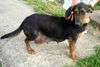 Maya (aka BeeBee) *LOCAL* MEET ME!