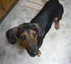 Maya (aka BeeBee) *LOCAL* MEET ME!