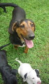 Maya (aka BeeBee) *LOCAL* MEET ME!