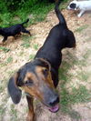 Maya (aka BeeBee) *LOCAL* MEET ME!
