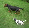 Maya (aka BeeBee) *LOCAL* MEET ME!