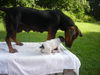 Maya (aka BeeBee) *LOCAL* MEET ME!
