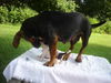 Maya (aka BeeBee) *LOCAL* MEET ME!