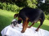 Maya (aka BeeBee) *LOCAL* MEET ME!