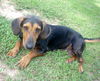 Maya (aka BeeBee) *LOCAL* MEET ME!