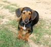 Maya (aka BeeBee) *LOCAL* MEET ME!