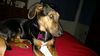 Maya (aka BeeBee) *LOCAL* MEET ME!