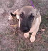 Jarrod *MEET ME!*