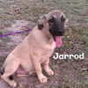 Jarrod *MEET ME!*