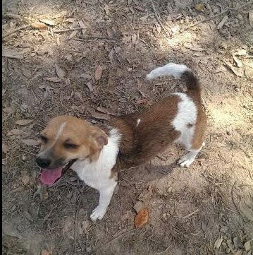 Macy *MEET ME!*