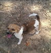 Macy *MEET ME!*