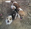 Macy *MEET ME!*
