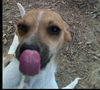 Macy *MEET ME!*