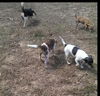 Macy *MEET ME!*