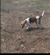 Macy *MEET ME!*