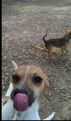 Macy *MEET ME!*