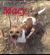 Macy *MEET ME!*