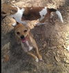 Macy *MEET ME!*