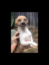 Macy *MEET ME!*