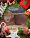 Jackson Brown