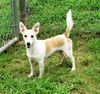 Zeus (Love) *LOCAL*